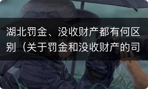 湖北罚金、没收财产都有何区别（关于罚金和没收财产的司法解释）