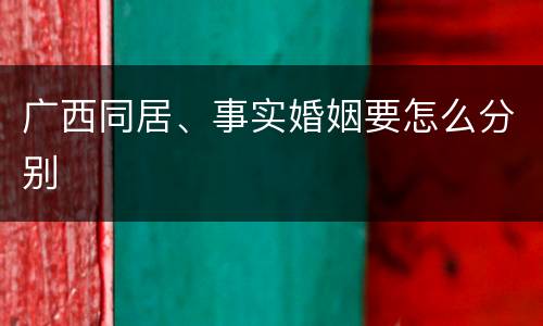 广西同居、事实婚姻要怎么分别