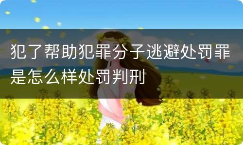 犯了帮助犯罪分子逃避处罚罪是怎么样处罚判刑