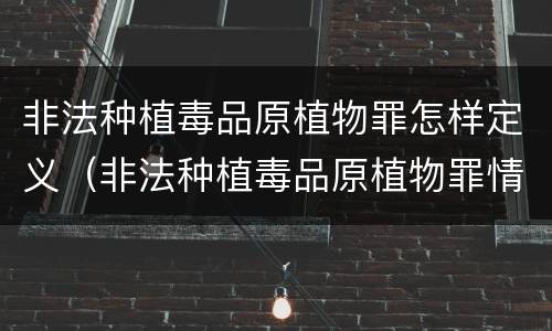 非法种植毒品原植物罪怎样定义（非法种植毒品原植物罪情节严重的三种情形是什么）