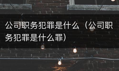 公司职务犯罪是什么（公司职务犯罪是什么罪）
