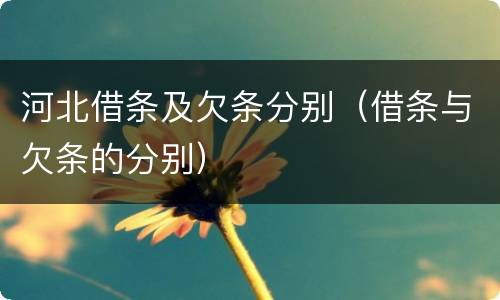 河北借条及欠条分别（借条与欠条的分别）