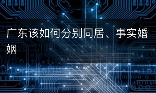 广东该如何分别同居、事实婚姻