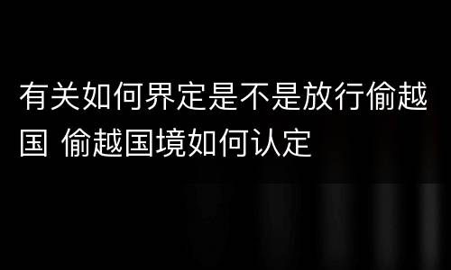 有关如何界定是不是放行偷越国 偷越国境如何认定