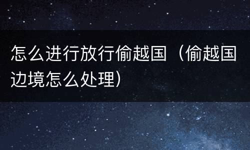 怎么进行放行偷越国（偷越国边境怎么处理）