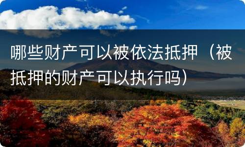 哪些财产可以被依法抵押（被抵押的财产可以执行吗）