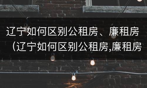 辽宁如何区别公租房、廉租房（辽宁如何区别公租房,廉租房和商品房）