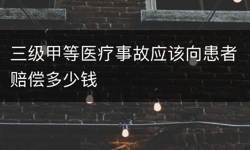 三级甲等医疗事故应该向患者赔偿多少钱