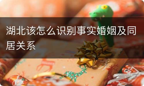 湖北该怎么识别事实婚姻及同居关系