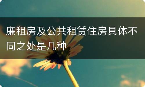 廉租房及公共租赁住房具体不同之处是几种