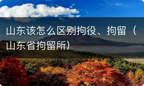 山东该怎么区别拘役、拘留（山东省拘留所）