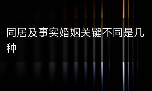 同居及事实婚姻关键不同是几种