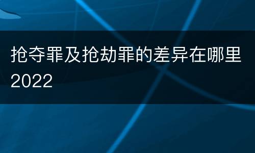 抢夺罪及抢劫罪的差异在哪里2022