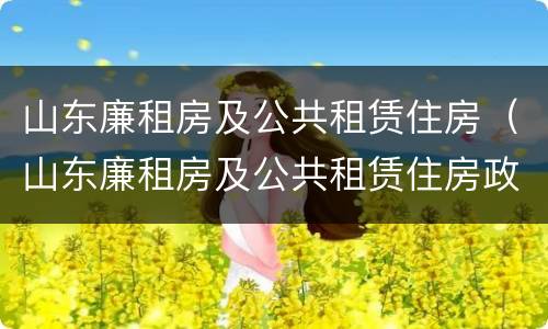 山东廉租房及公共租赁住房（山东廉租房及公共租赁住房政策）