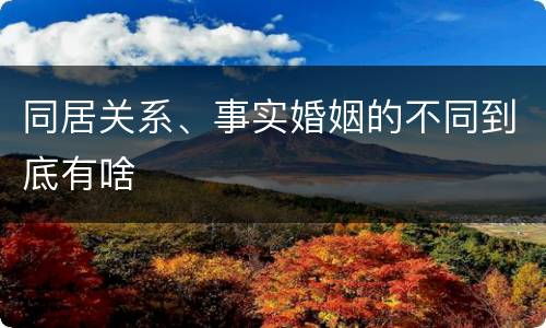同居关系、事实婚姻的不同到底有啥