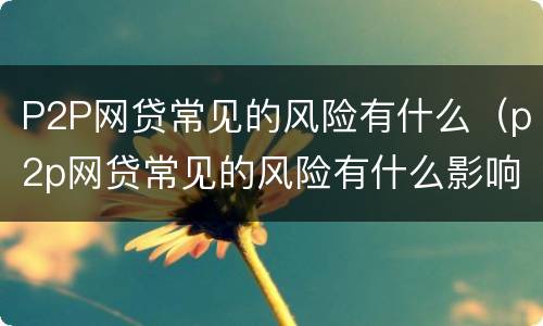 P2P网贷常见的风险有什么（p2p网贷常见的风险有什么影响）