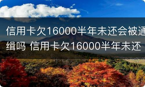 信用卡欠16000半年未还会被通缉吗 信用卡欠16000半年未还会被通缉吗知乎