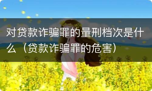 对贷款诈骗罪的量刑档次是什么（贷款诈骗罪的危害）