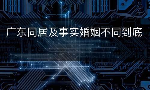 广东同居及事实婚姻不同到底