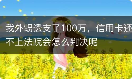 我外甥透支了100万，信用卡还不上法院会怎么判决呢