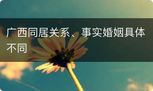 广西同居关系、事实婚姻具体不同