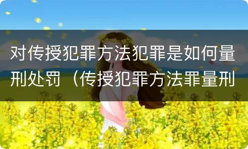 对传授犯罪方法犯罪是如何量刑处罚（传授犯罪方法罪量刑标准）