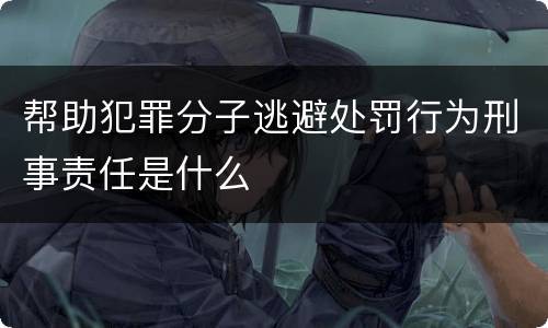 帮助犯罪分子逃避处罚行为刑事责任是什么