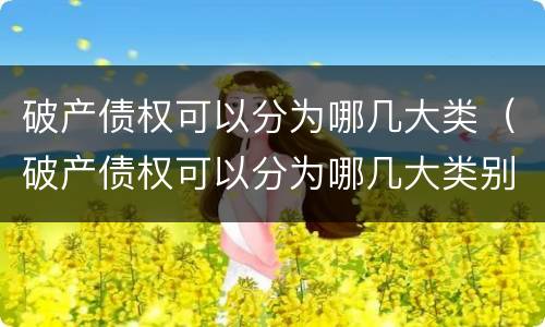 破产债权可以分为哪几大类（破产债权可以分为哪几大类别）