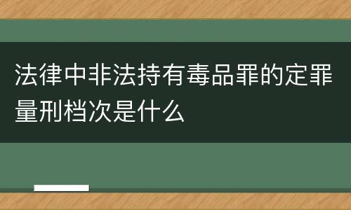 法律中非法持有毒品罪的定罪量刑档次是什么