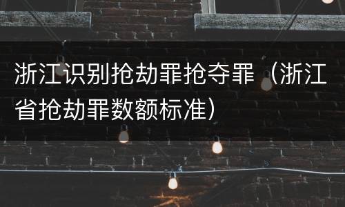 浙江识别抢劫罪抢夺罪（浙江省抢劫罪数额标准）