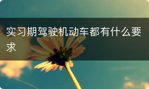 实习期驾驶机动车都有什么要求
