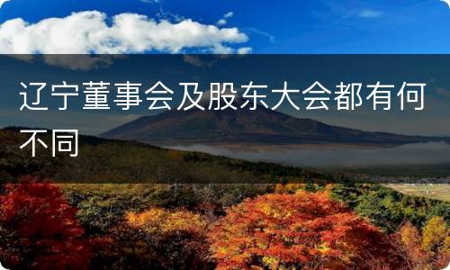 辽宁董事会及股东大会都有何不同