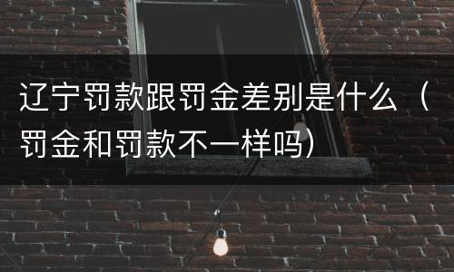 辽宁罚款跟罚金差别是什么（罚金和罚款不一样吗）