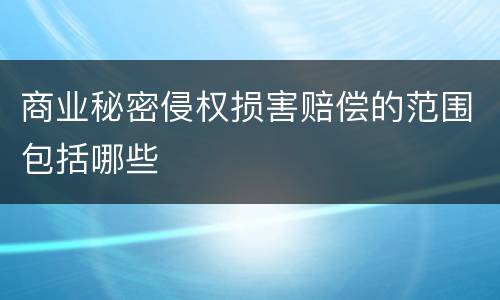 商业秘密侵权损害赔偿的范围包括哪些