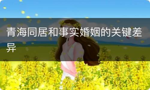 青海同居和事实婚姻的关键差异