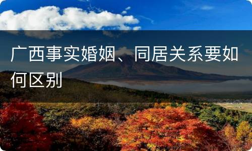 广西事实婚姻、同居关系要如何区别