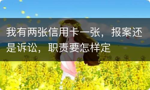 我有两张信用卡一张，报案还是诉讼，职责要怎样定