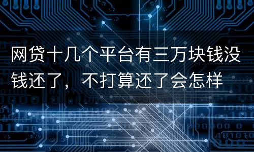 网贷十几个平台有三万块钱没钱还了，不打算还了会怎样