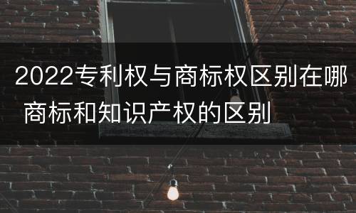 2022专利权与商标权区别在哪 商标和知识产权的区别