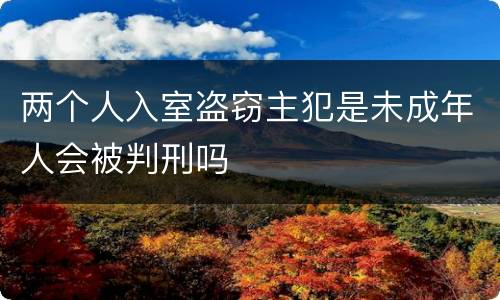 两个人入室盗窃主犯是未成年人会被判刑吗