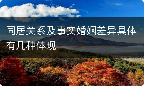 同居关系及事实婚姻差异具体有几种体现