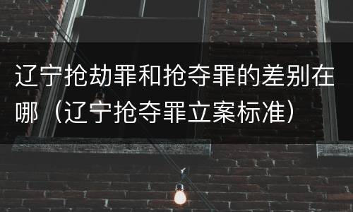 辽宁抢劫罪和抢夺罪的差别在哪（辽宁抢夺罪立案标准）