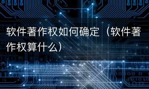 软件著作权如何确定（软件著作权算什么）