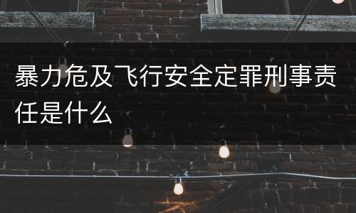 暴力危及飞行安全定罪刑事责任是什么