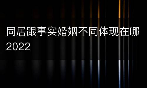 同居跟事实婚姻不同体现在哪2022