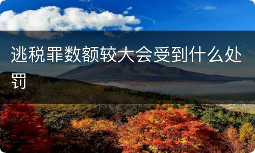 逃税罪数额较大会受到什么处罚