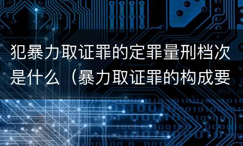 犯暴力取证罪的定罪量刑档次是什么（暴力取证罪的构成要件）