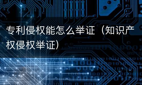 专利侵权能怎么举证（知识产权侵权举证）