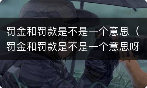 罚金和罚款是不是一个意思（罚金和罚款是不是一个意思呀）