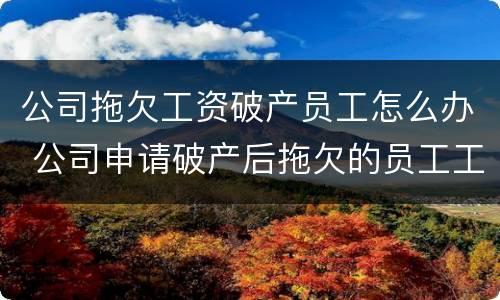 公司拖欠工资破产员工怎么办 公司申请破产后拖欠的员工工资怎么办